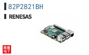 82P2821BH