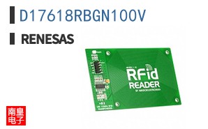 D17618RBGN100V