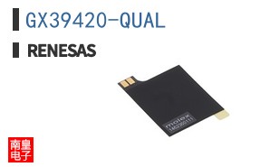 GX39420-QUAL
