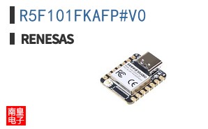 R5F101FKAFP#V0