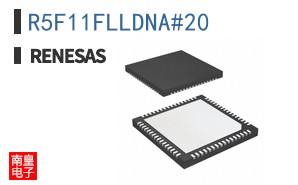 R5F11FLLDNA#20