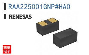 RAA225001GNP#HA0