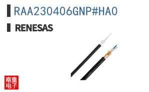 RAA230406GNP#HA0